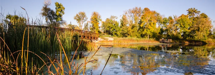 Olson Bros Chiropractic in St. Anthony MN