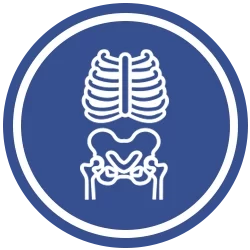 Xray Icon
